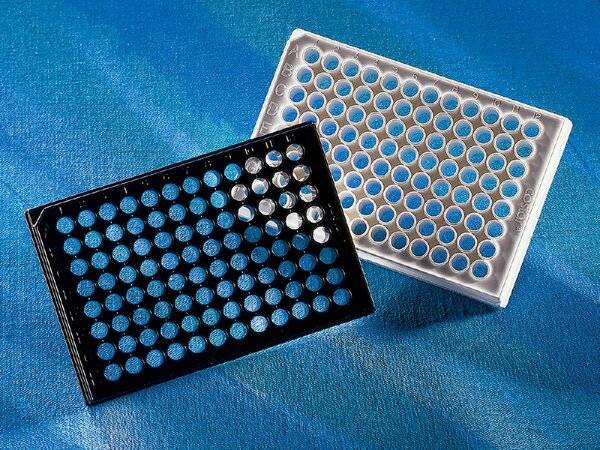 Corning Microplate, 96 Well, Polystyrene, Black/Clear Flat Bottom, TC-Treated, with Lid
