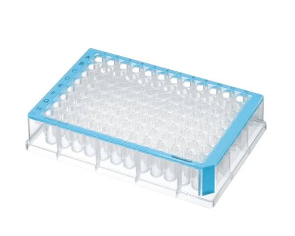 Eppendorf Deepwell plate 96/500µl, Normalpackung, DNA LoBind, blau, 40 Platten (5 Beutel à-0