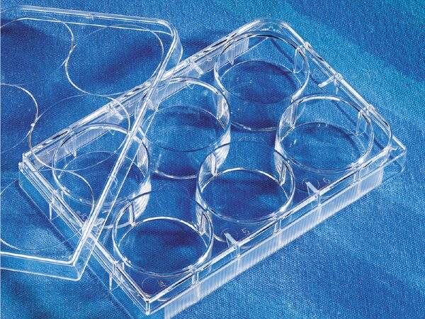 Corning Corning CellBIND Surface,PLT,6WL,FB,W/LID,S,BK,5/50 Case Size: 10 Pack size: 5