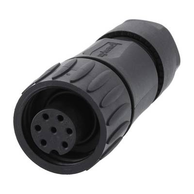 Amphenol RD24-KBG Kabelsteckverbinder gerade Buchse Lötanschluss, Polzahl 6+PE Kabelabgang gerade, Klemmbereich 6,0mm --0