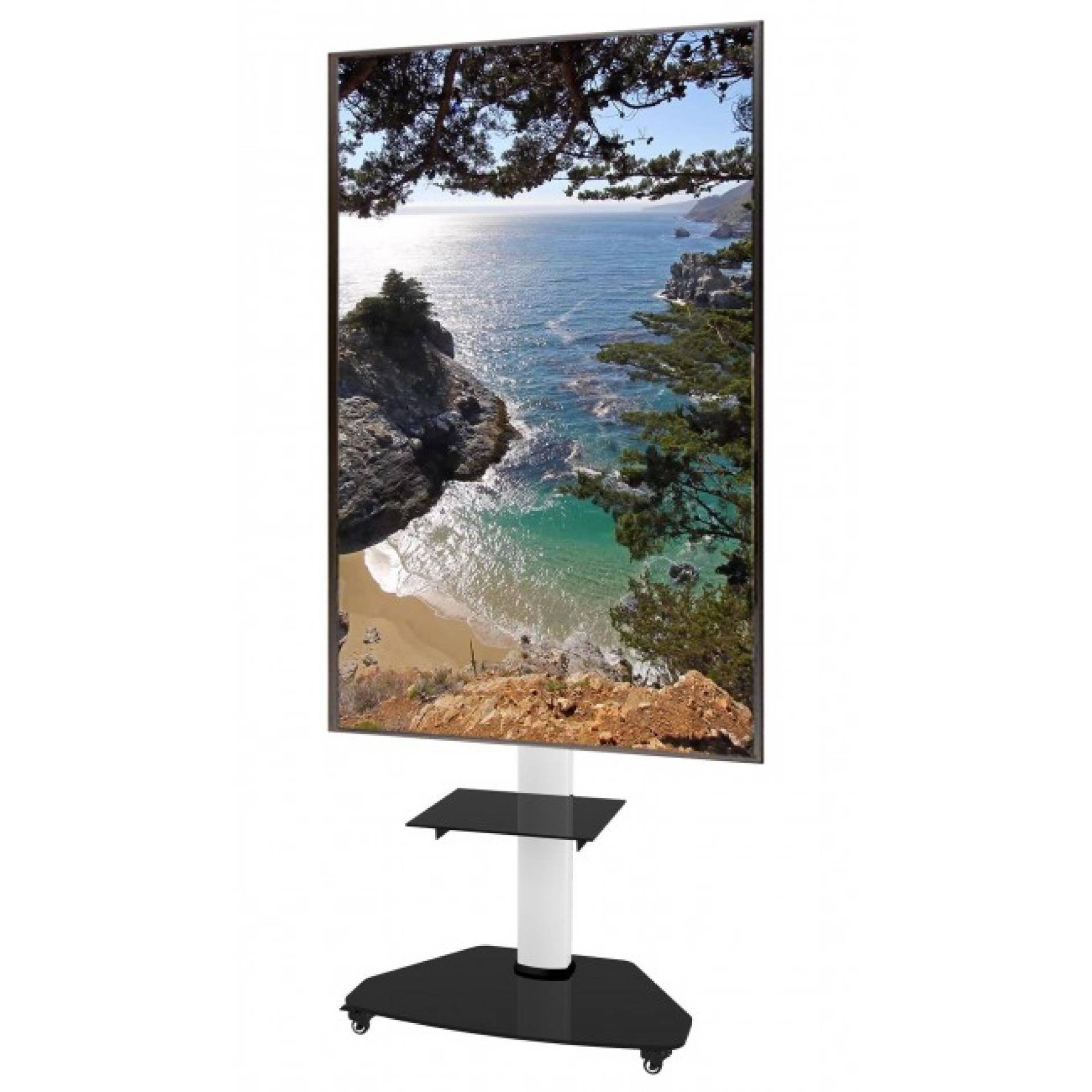 EFB-Elektronik ICA-TR3WH, TV Trolley für LCD LED TV 37-70", weiß, mit Ablage-3