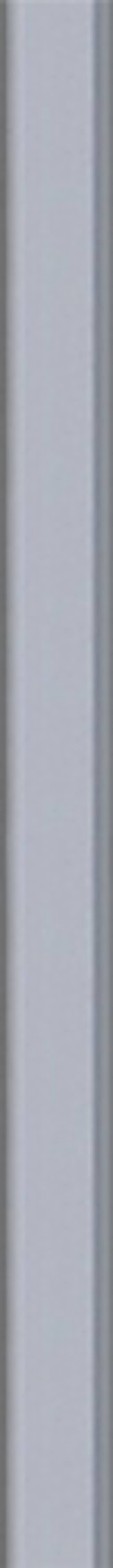 Stangenset WINTECTO ONE FOS550,FOS650 75/75cm Plastikhülle/Stahl silber