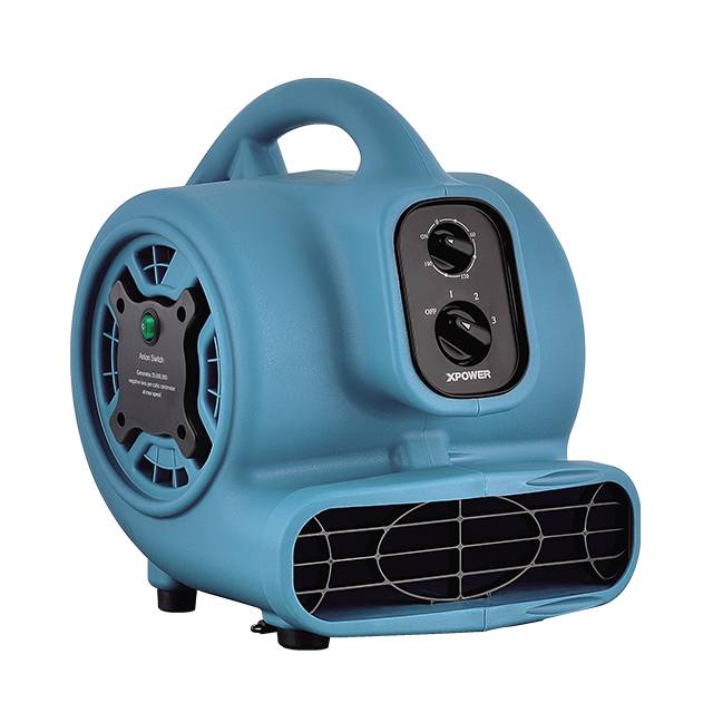 XPOWER P-250NT MÄCHTIGER DUFTLUFTBEWEGER MIT NEGATIVEM IONENGENERATOR, TIMER-3