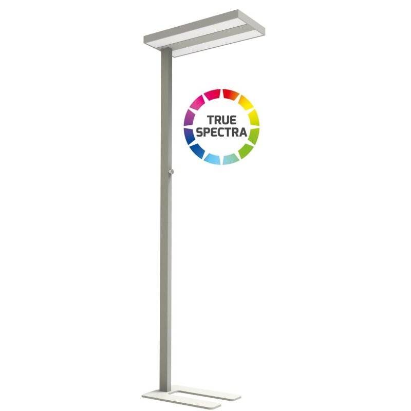 Dotlux LED-Stehleuchte 5227-155075-0