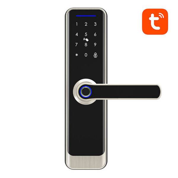 Avatto Smart Digital Lock ZSDL-A270-S-ALI-6072 ZigBee Silber