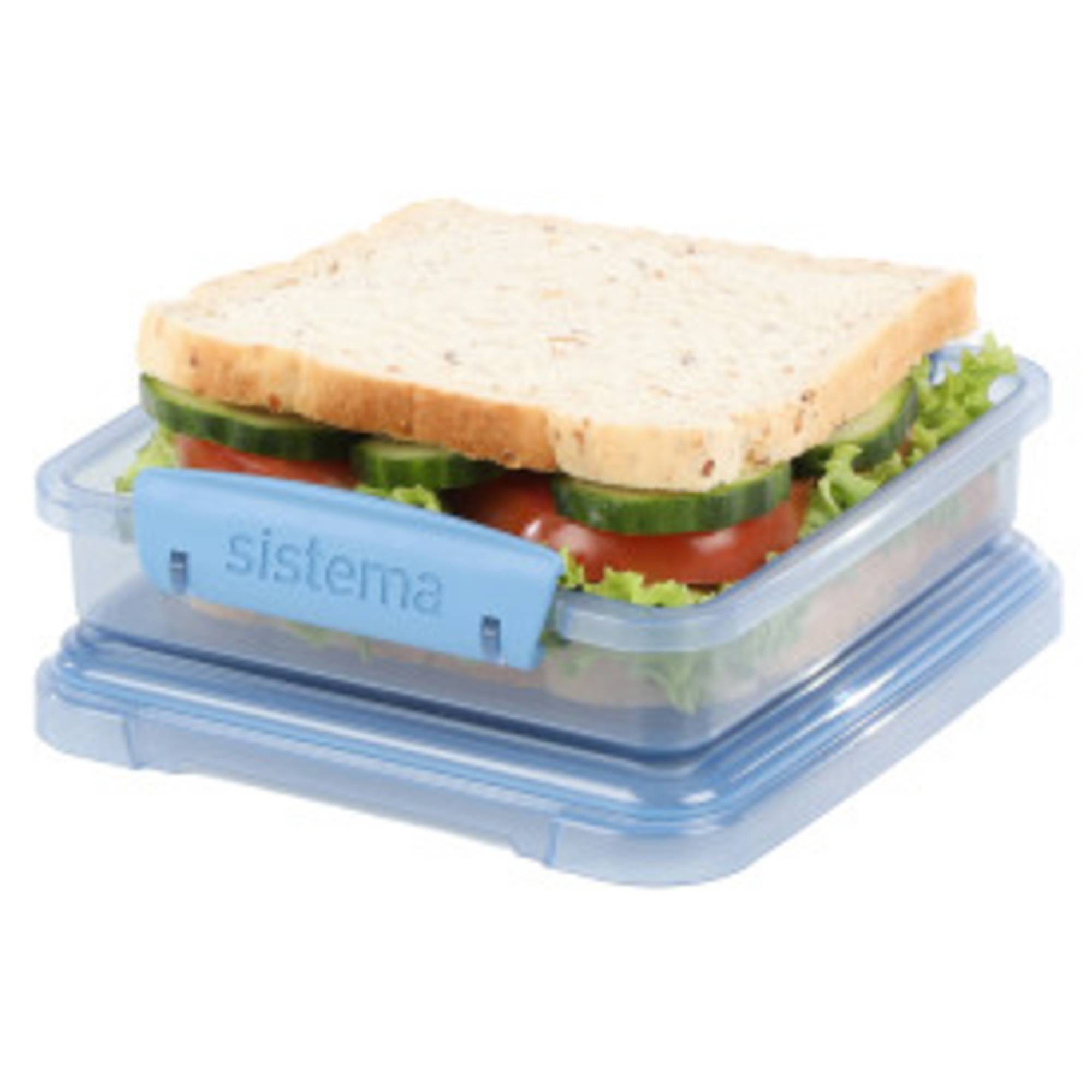 Sandwichbox RC 450ml sort-2