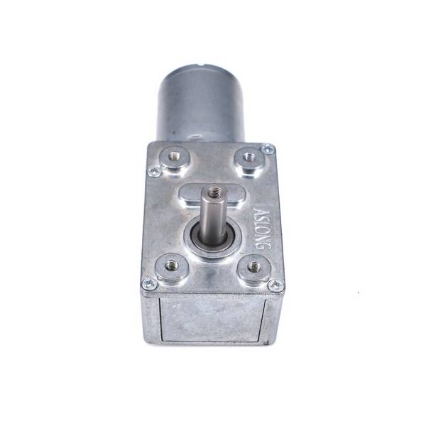 12V 6mm Antriebwelle DC Motor Gleichstrom Schneckengetriebemotor 19 RPM