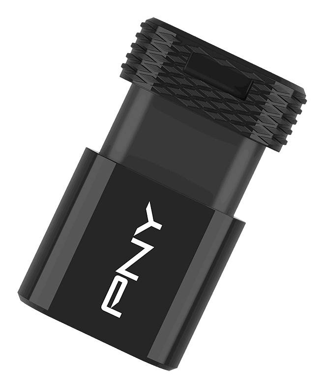 PNY Elite-X Fit - USB-Flash-Laufwerk - 256 GB-1