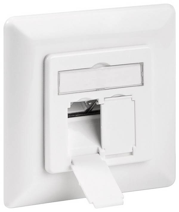 Goobay 68721 Netzwerkdose Unterputz Einsatz CAT 6a 2 x RJ45 Port Signalweiß mit Einsatz, Zentralplatte und Rahmen