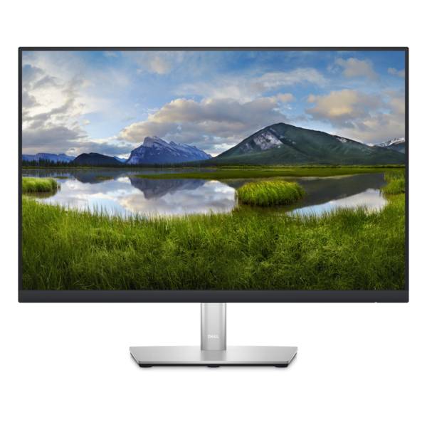Dell Professional P2423 Monitor 24'' 1920 x 1200 WUXGA 300cd/m²