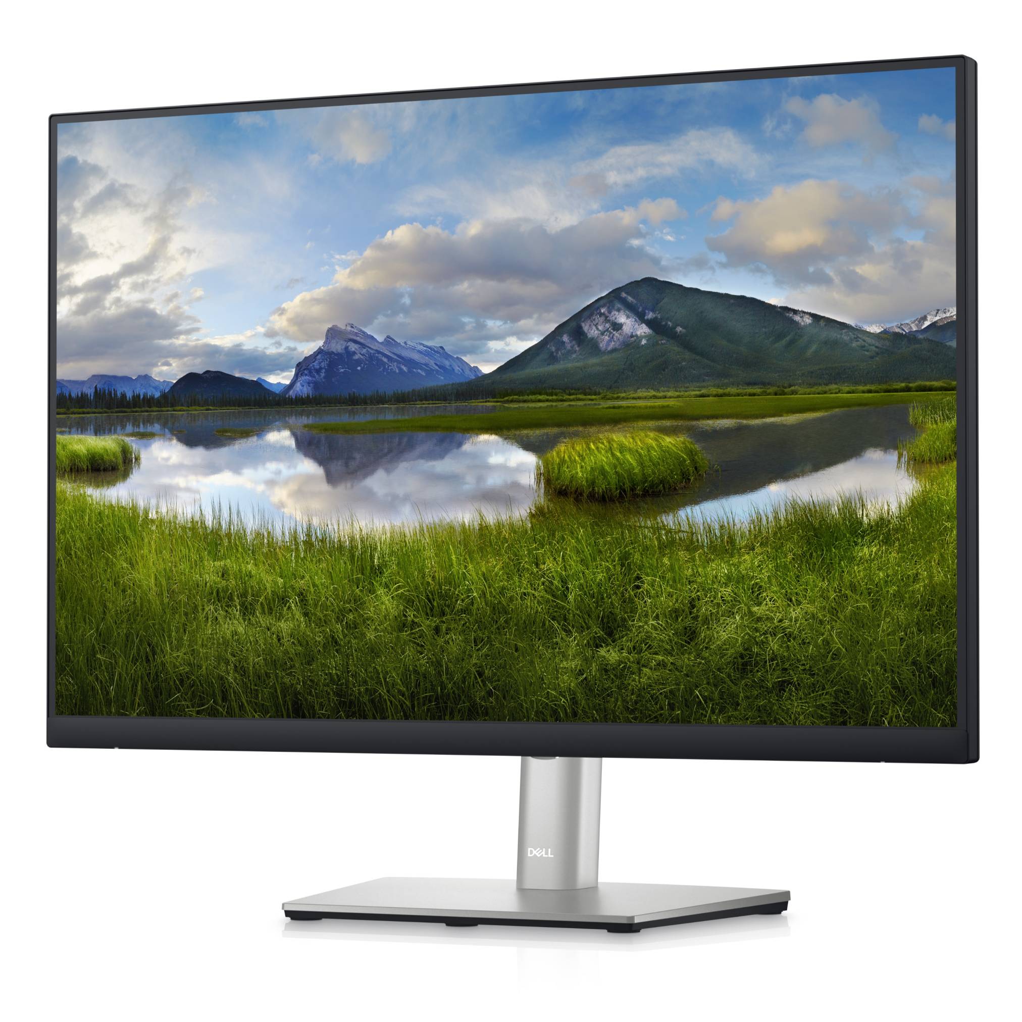 Dell Professional P2423 Monitor 24'' 1920 x 1200 WUXGA 300cd/m²-1