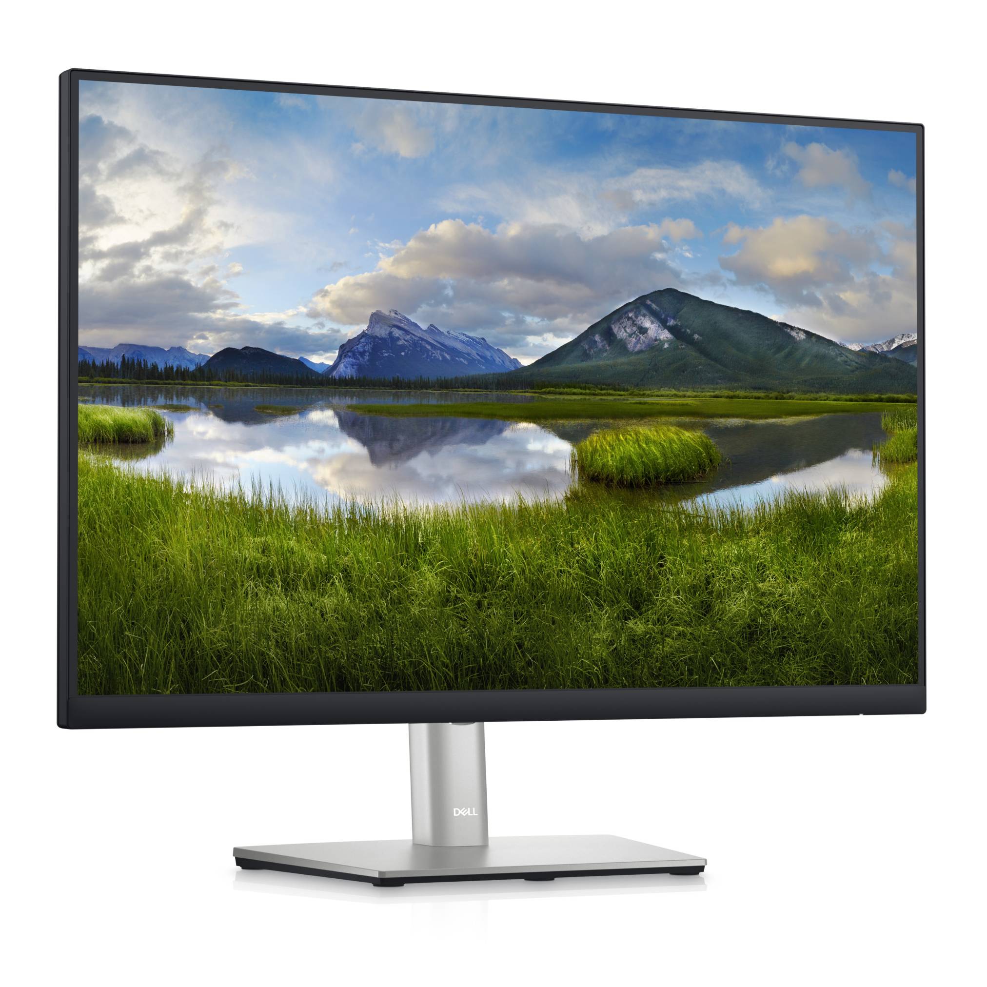 Dell Professional P2423 Monitor 24'' 1920 x 1200 WUXGA 300cd/m²-2