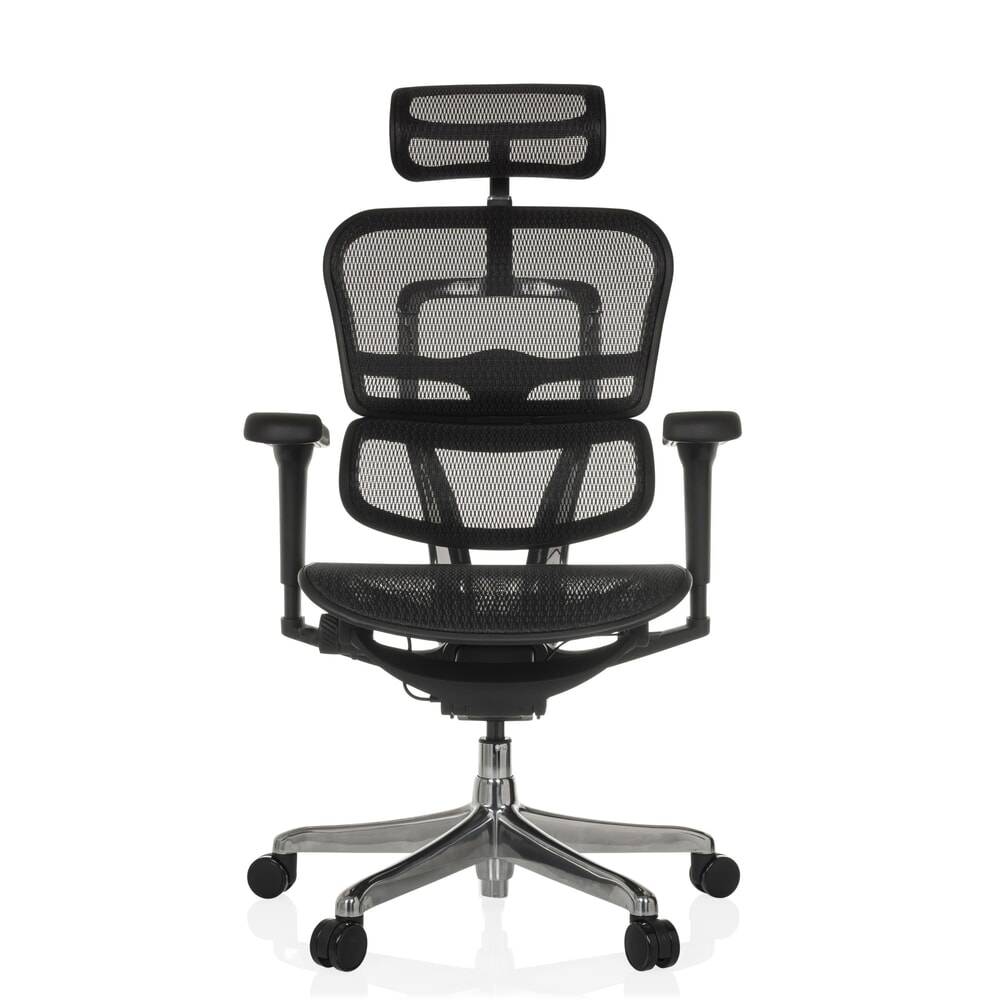 hjh OFFICE Chefsessel ERGOHUMAN ULTRA GEN2, Netzrückenlehne, 601270-YY-0