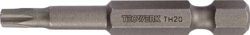 TECWERK Bit 1/4 ? T 20 Länge 50 mm mit Bohrung-0