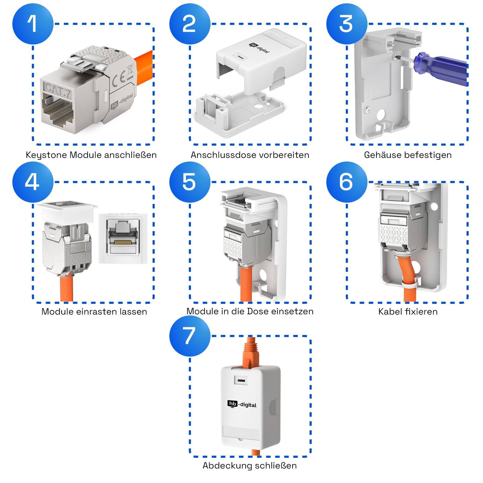 hb-digital Set Anschlussbox 1-Port Keystone Module CAT 7-4