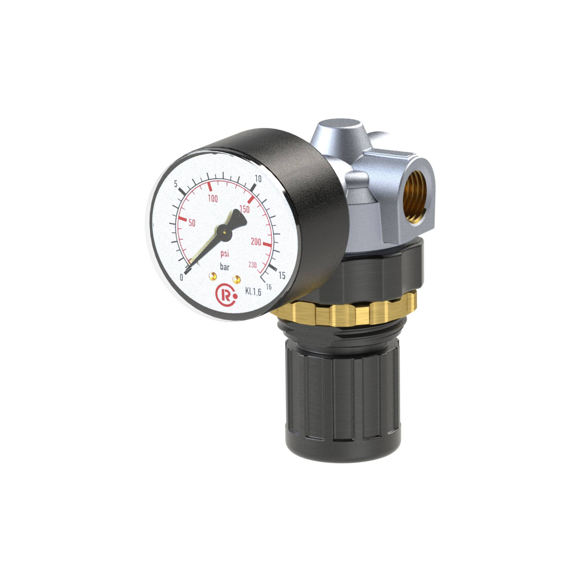 RIEGLER Druckregler »Standard-mini«, inkl. Manometer und Schalttafelmutter, BG 0, G 1/8, PE max. 16 bar, Regelbereich 0,-0