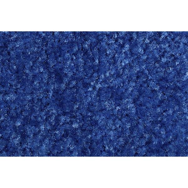 Schmutzfangmatte EAZYCARE COLOR für innen LxB 400 x 600 mm blau. 84879749 848797 49-1