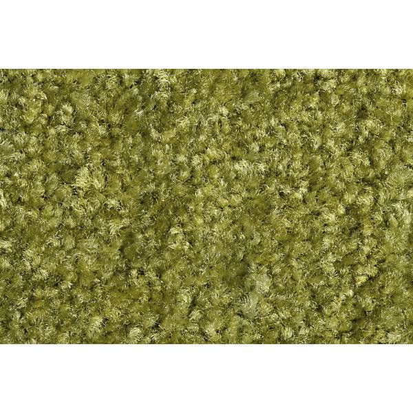 Schmutzfangmatte EAZYCARE COLOR für innen LxB 600 x 900 mm grün. 84881049 848810 49-4