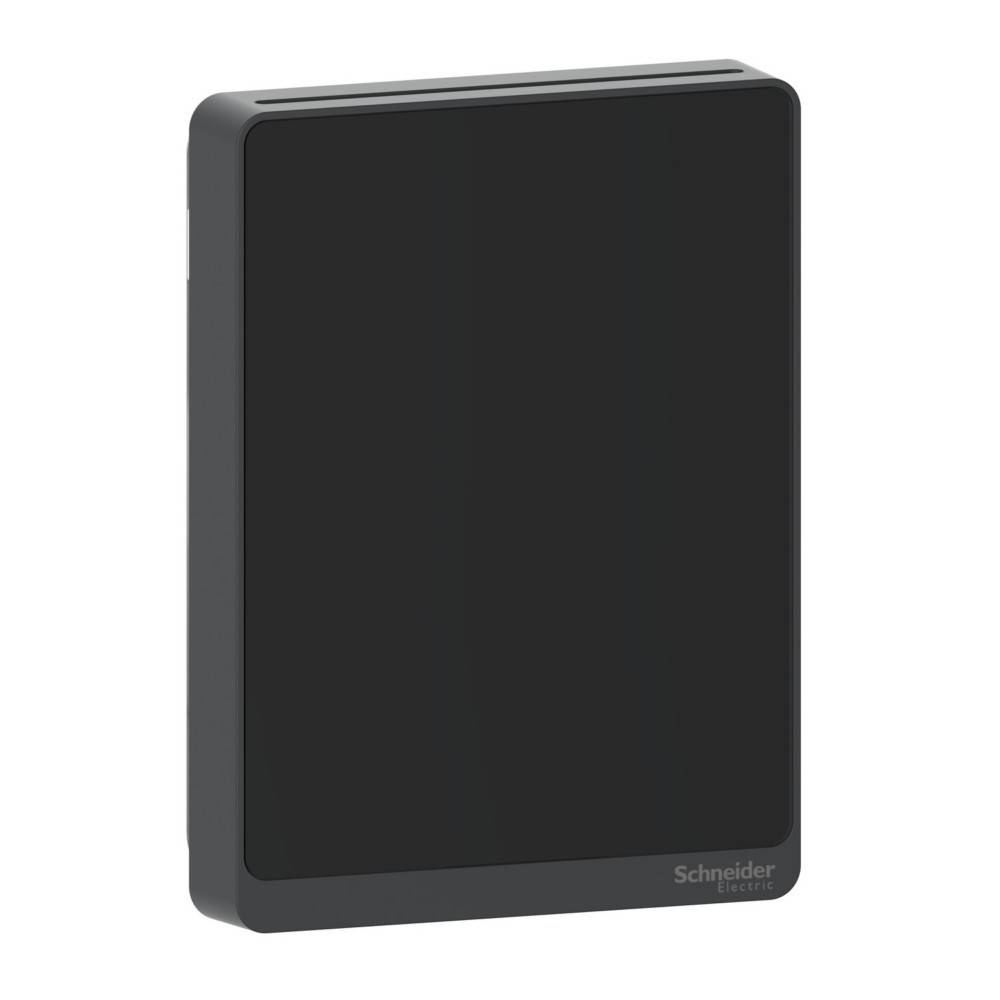 Schneider Electric PM 1/2.5/4/10, Analog, Bk-0