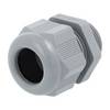143005 Stex24 Kunststoff Kabelverschraubung - Eigenmarke M25x1,5 SKU-E VPE 1 Polyamid PA