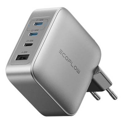 Ecoflow Rapid Pro Charger 140W-0