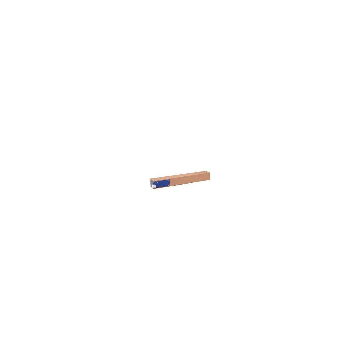 Epson Glänzend - Rolle (43,2 cm x 30,5 m) - 250 g/m² - 1 Rolle(n) Fotopapier - f-5