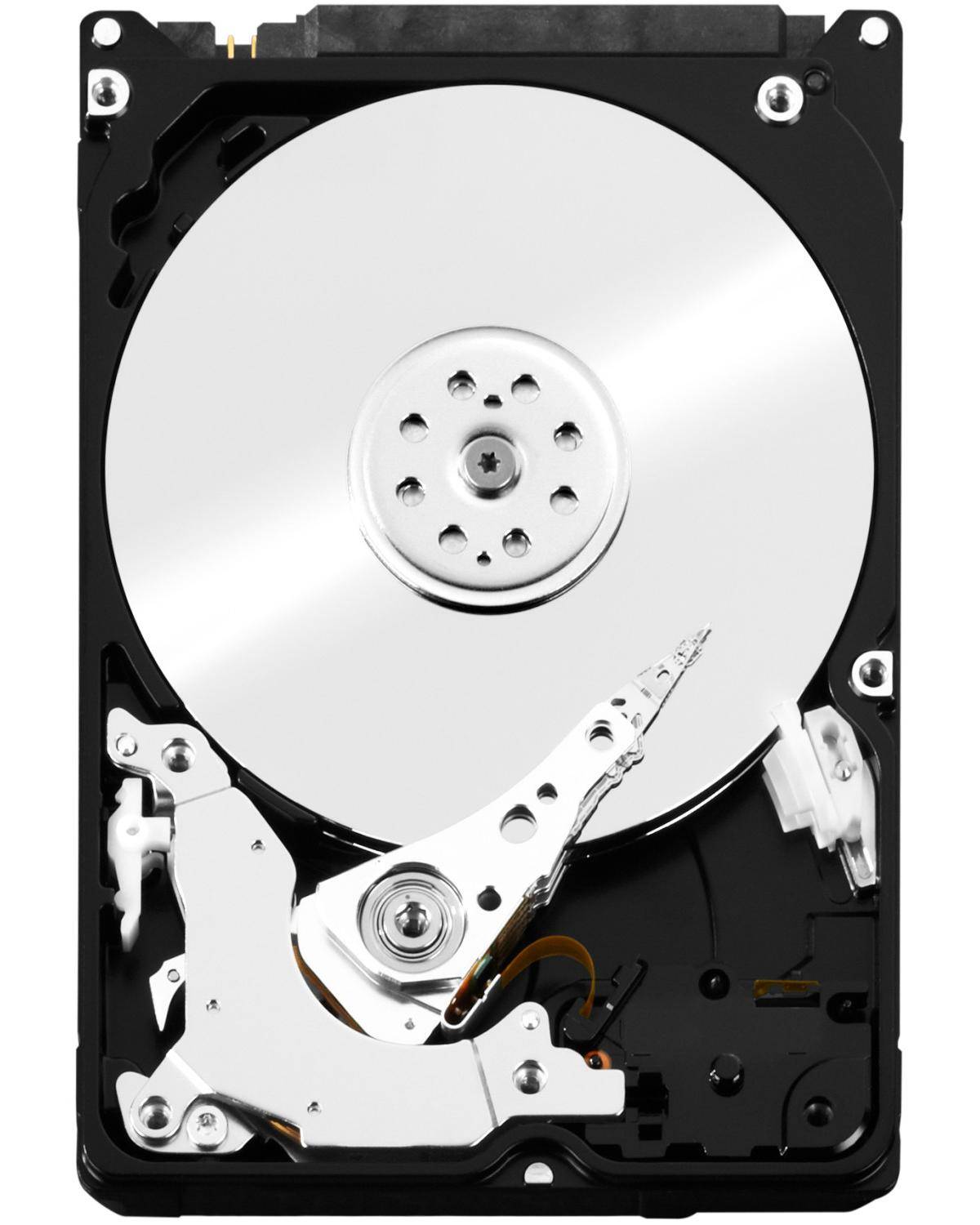 Western Digital   Interne Festplatte 6.35 cm (2.5 Zoll)-4