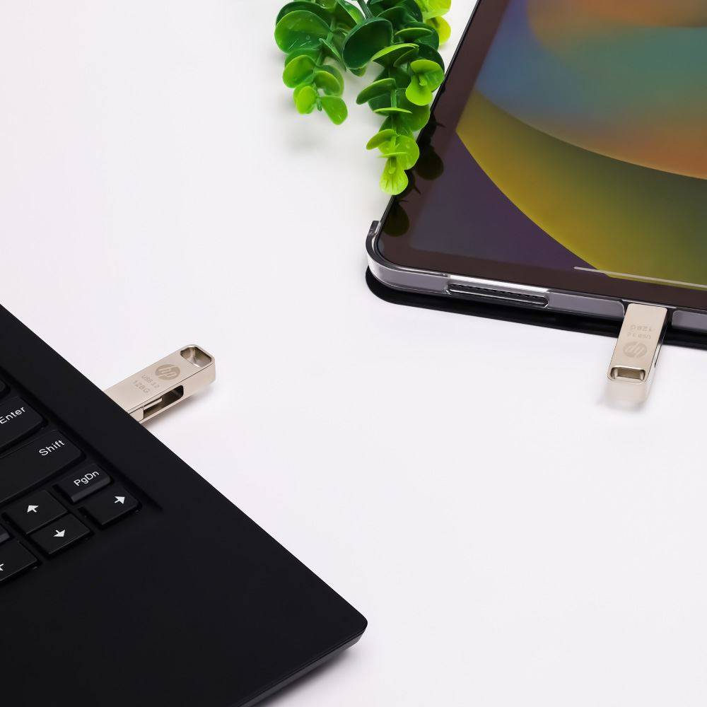 HP x206C - USB-Flash-Laufwerk - 256 GB - USB-2