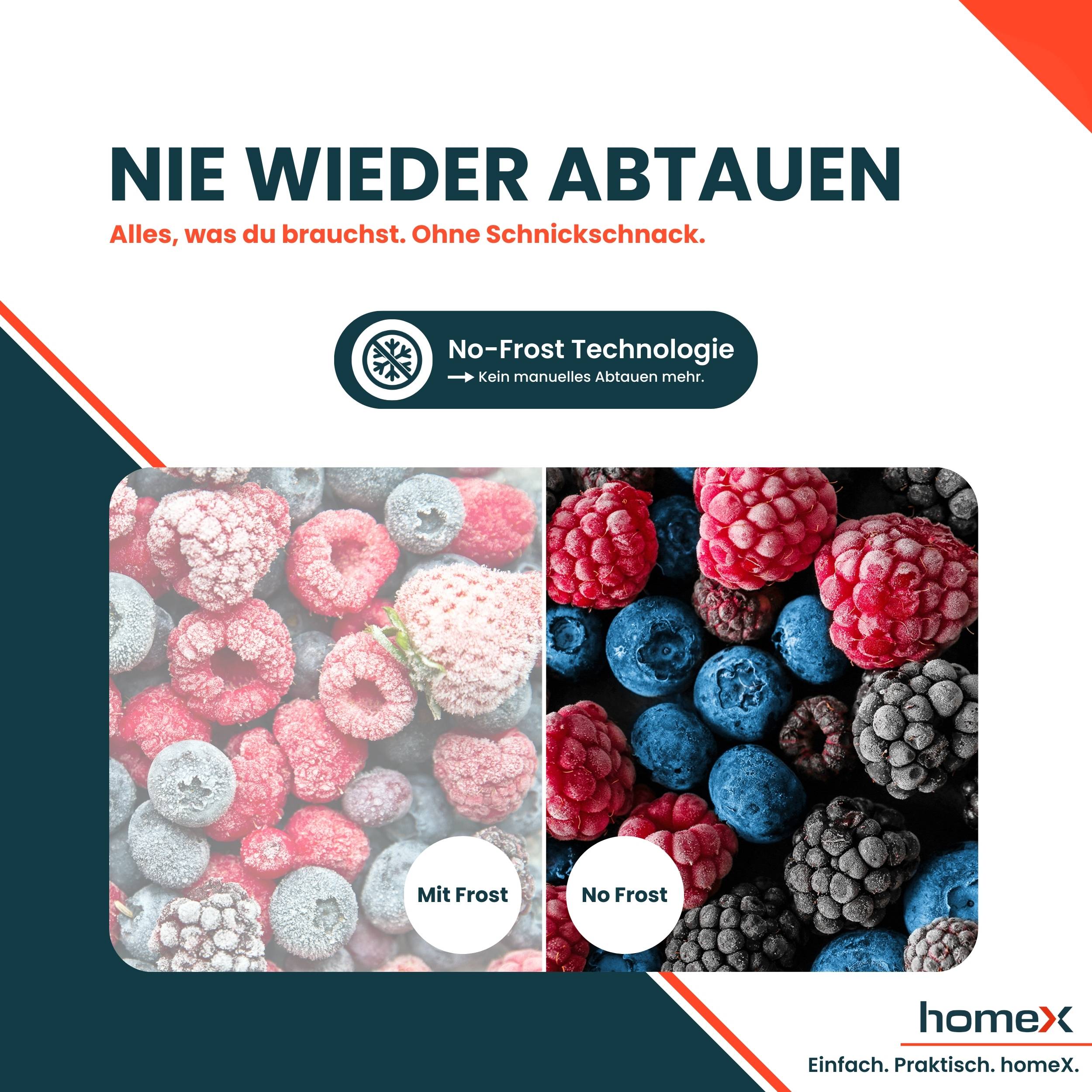 homeX Gefrierschrank No Frost, Tiefkühlschrank groß - 161 Liter, 4-Sterne Gefrieren, Super-Frost-Funktion, FSN1611E-S-1