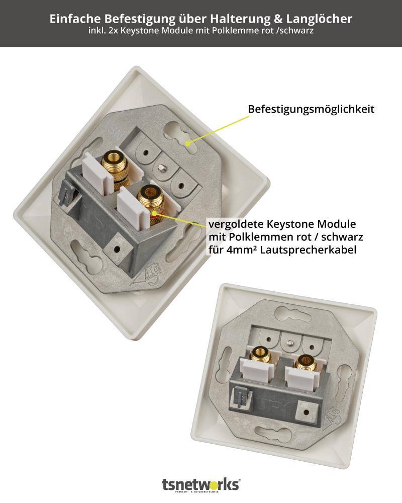tsnetworks Bananenstecker Lautsprecher Anschlussdose mit Polklemme Keystone Modul vergoldet rot/schwarz-3