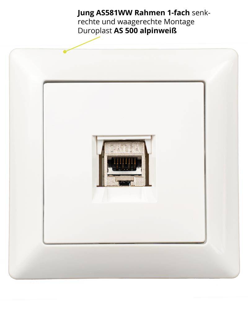 tsnetworks Keystone RJ45 Cat. 6A Modul inkl. Jung Keystone Abdeckung 1fach A1569-1WEWW & 1fach Rahmen AS581WW alpinweis-3