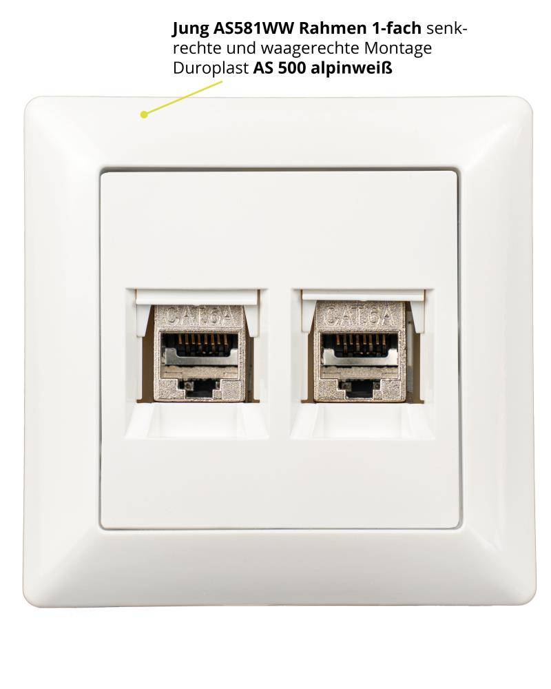 tsnetworks Keystone RJ45 Cat. 6A Modul inkl. Jung Keystone Abdeckung 2fach A1569-2WEWW & 1fach Rahmen AS581WW alpinweis-3