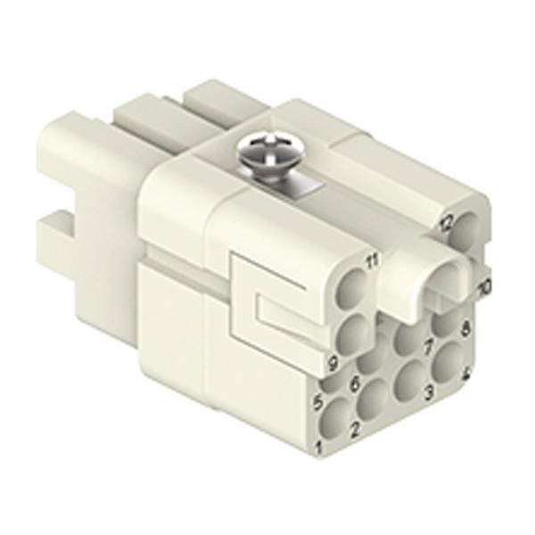 Buchseneinsatz, Größe 21.21, 12P+PE, 7,5A, 250V, für CIF Q12 2.4 - 1 Stück