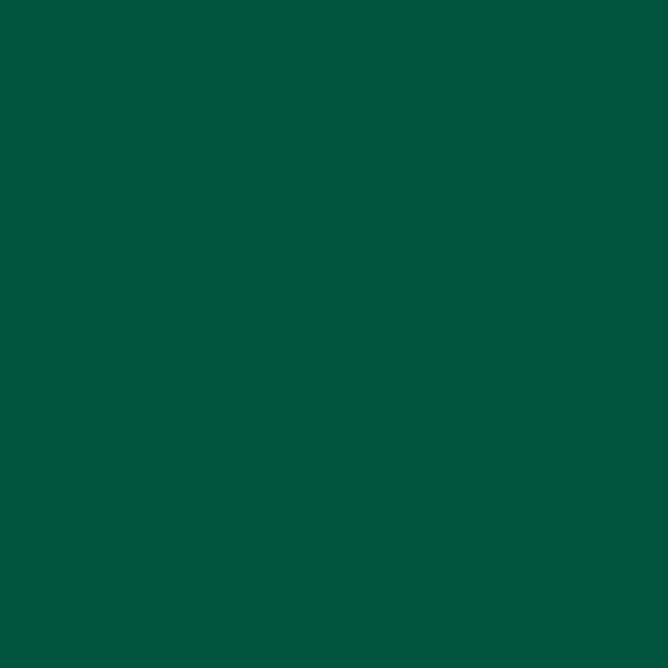 3M Scotchlite Retroreflektierende Folie 580-77 E, Grün, 1220 mm x 22,86 m