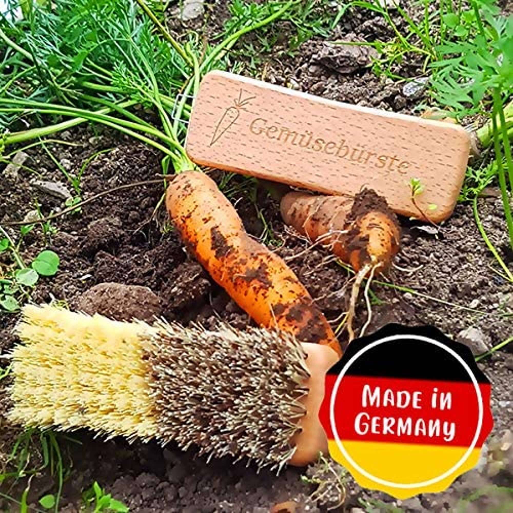 Gemüsebürste Union/Fibre Natur-1