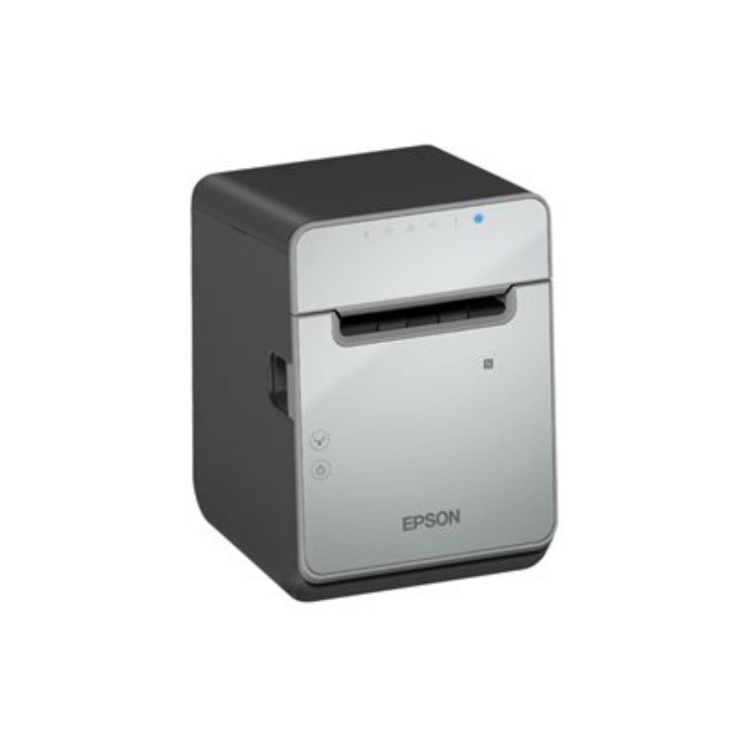 Epson TM L100 (103) - Belegdrucker - Thermozeile - Rolle (7,95 cm)-0