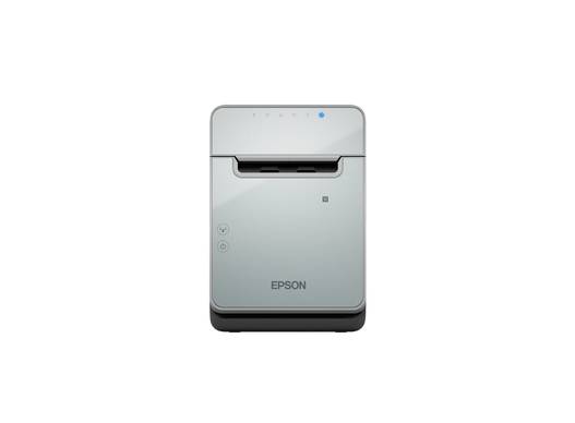 Epson TM L100 (103) - Belegdrucker - Thermozeile - Rolle (7,95 cm)-1
