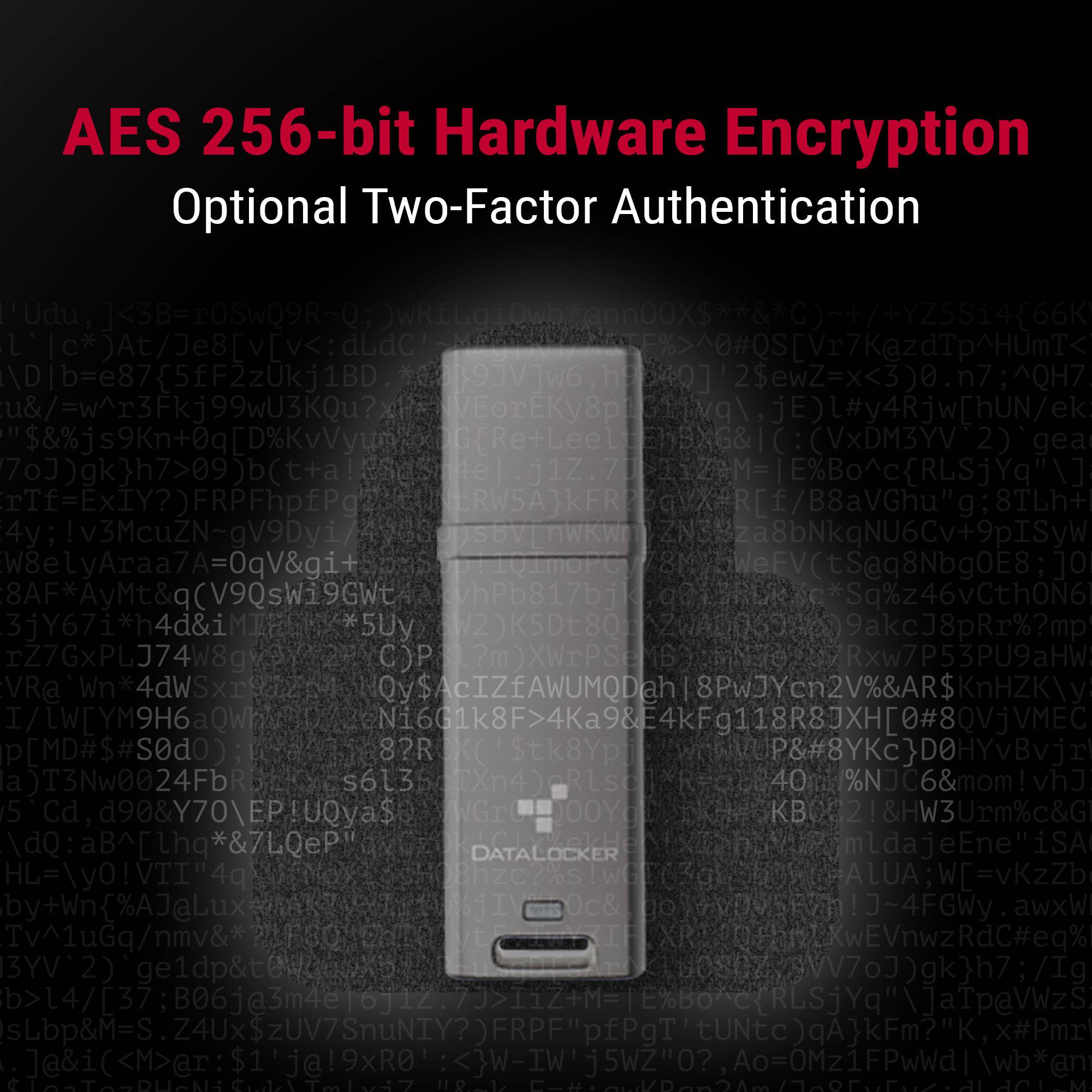 DataLocker DL GO , 64 GB, USB Typ-A, 3.2 Gen 2 (3.1 Gen 2), 160 MB/s, Kappe, Grau-1