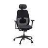 Ergonomischer Bürostuhl Skandis Pro mit Kopfstütze schwarz Gestell schwarz hjh OFFICE