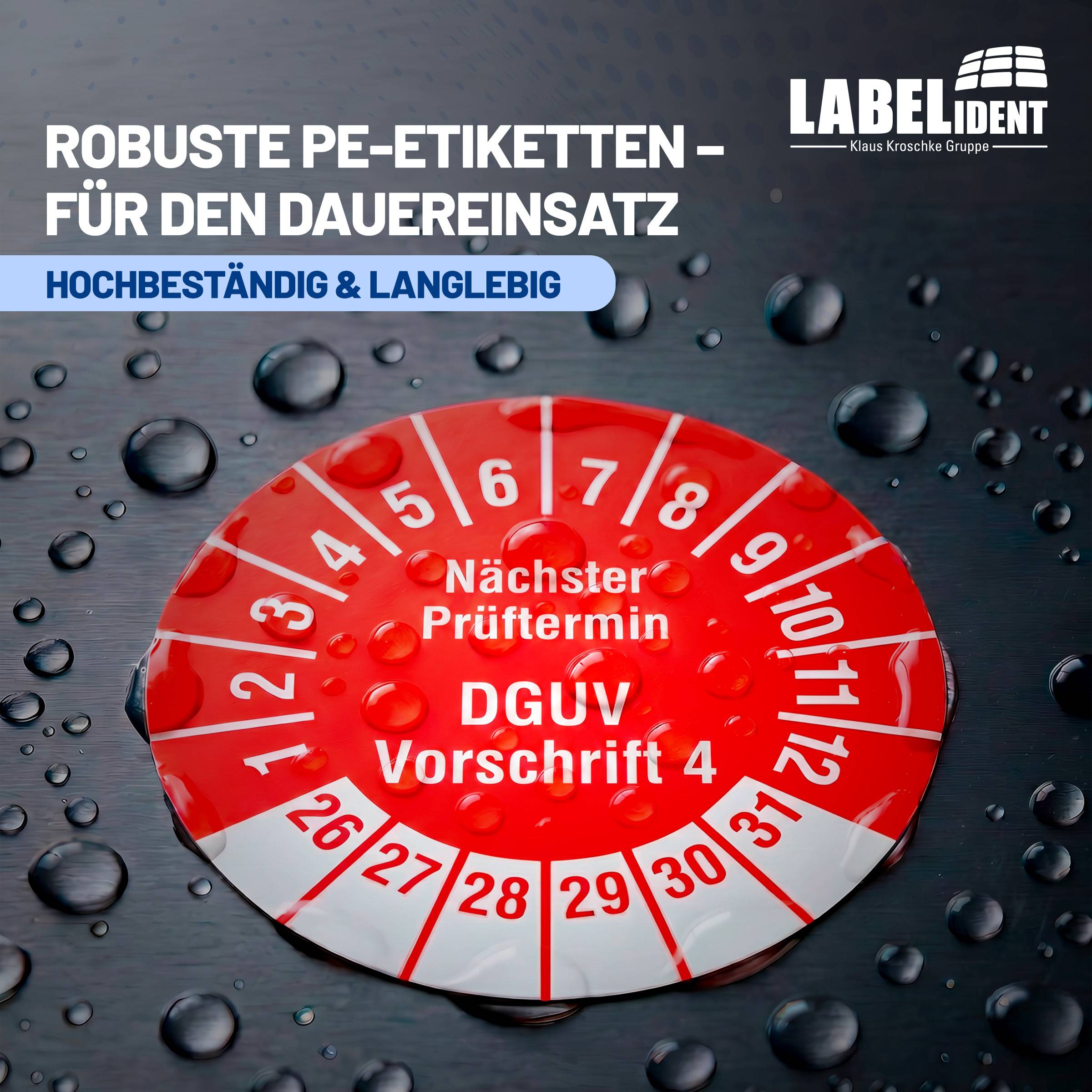 Labelident Prüfplaketten Nächster Prüftermin DGUV V4, Ø 20 mm, 1.000 Etiketten-2