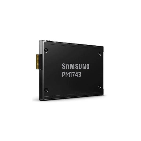 Samsung PM1743 MZWLO3T8HCLS - SSD - encrypted - 3.84 TB - internal - 2.5inch (6.4 cm)