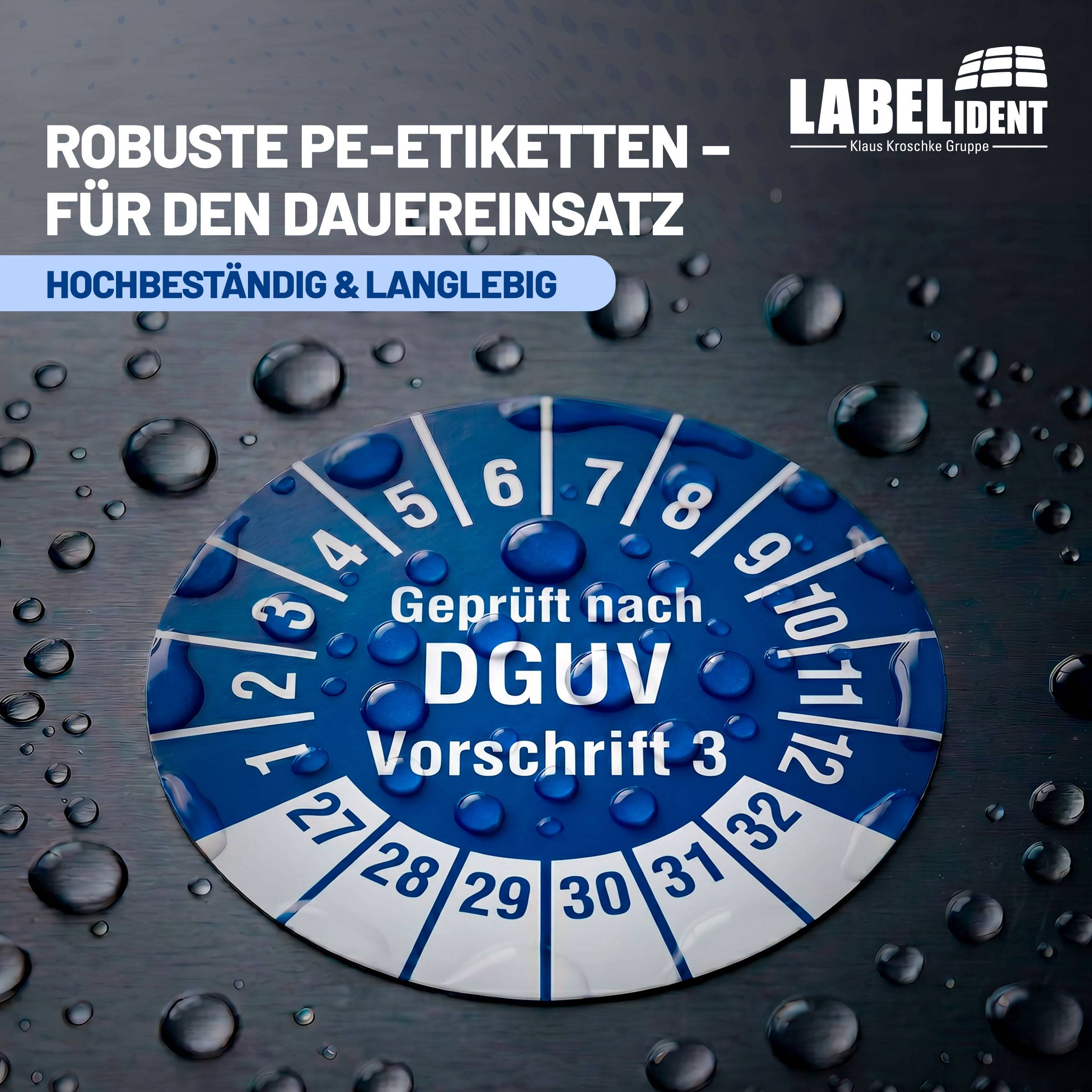 Labelident Prüfplaketten DGUV Vorschrift 3, Ø 20 mm, 1.000 Etiketten-2
