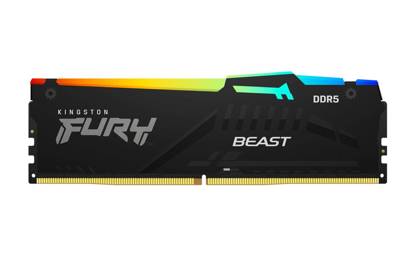 Kingston FURY Beast RGB - DDR5 - Kit - 128 GB:-1