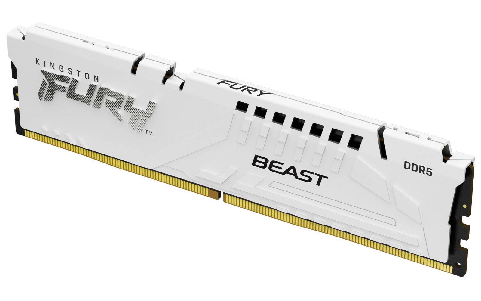 Kingston FURY Beast - DDR5 - Kit - 32 GB: 2 x-1