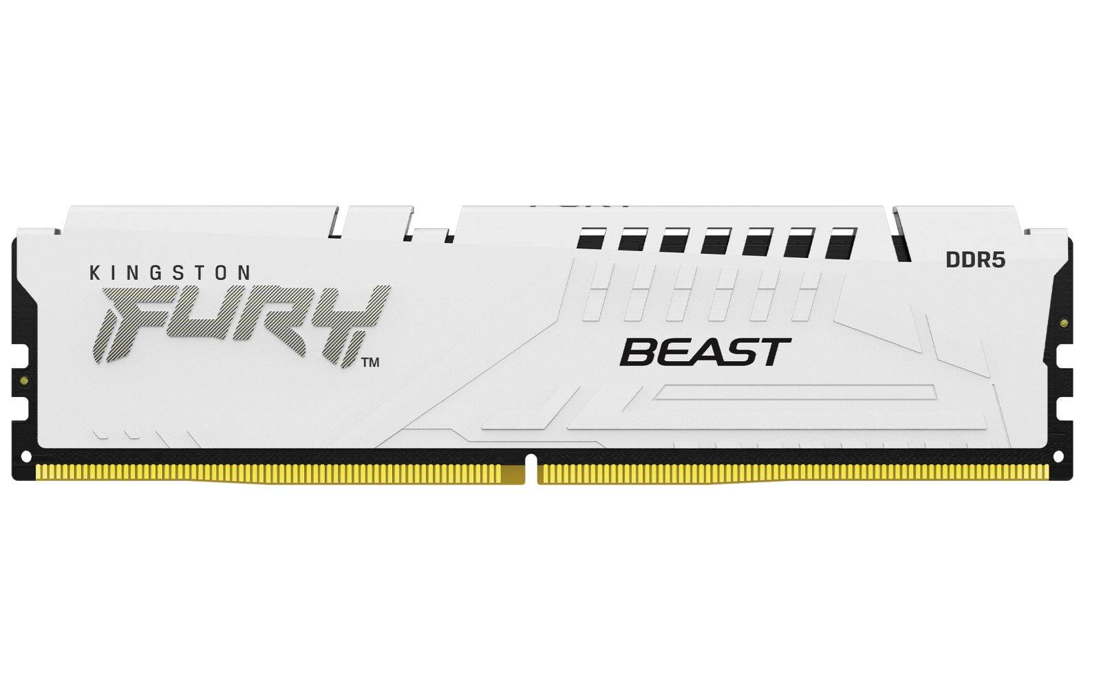 Kingston FURY Beast - DDR5 - Kit - 32 GB: 2 x-2