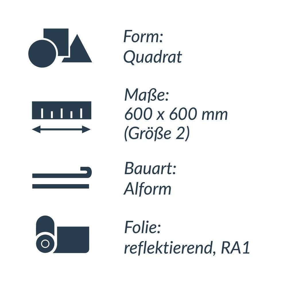 Parkhaus, Parkgarage, VZ Nr. 314-50, StVO, Alform, 600 x 600 mm, RA1-2