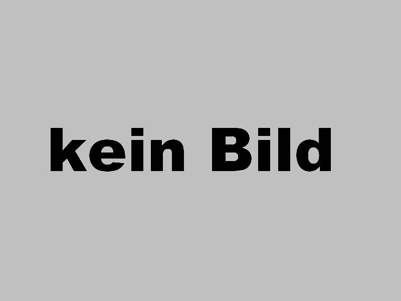 3 x Sikaflex 554 Caravan schwarz 300ml STP-Klebstoff-0