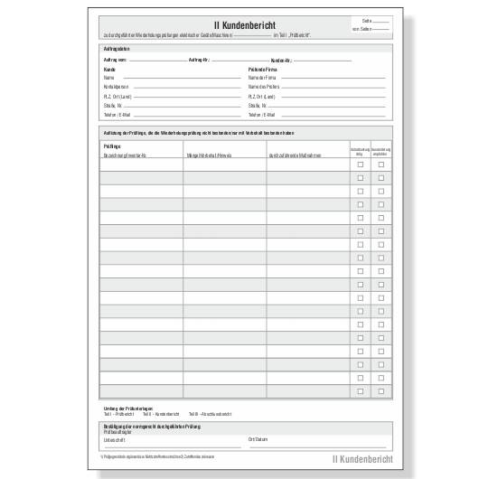 Prüfbericht - Wiederholungsprüfung im Set, 3-teilig (25 Satz)-2