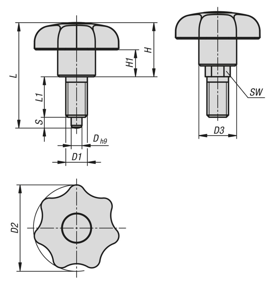 Norelem 03190-10-312061, Arretier- Und Spanngriff Automatenstahl, verzinkt-1