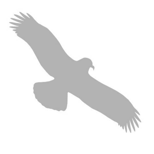 Piktogramm für Glasflächen, Vogel, Aufkleber, Folie, 330 x 130 mm, grau